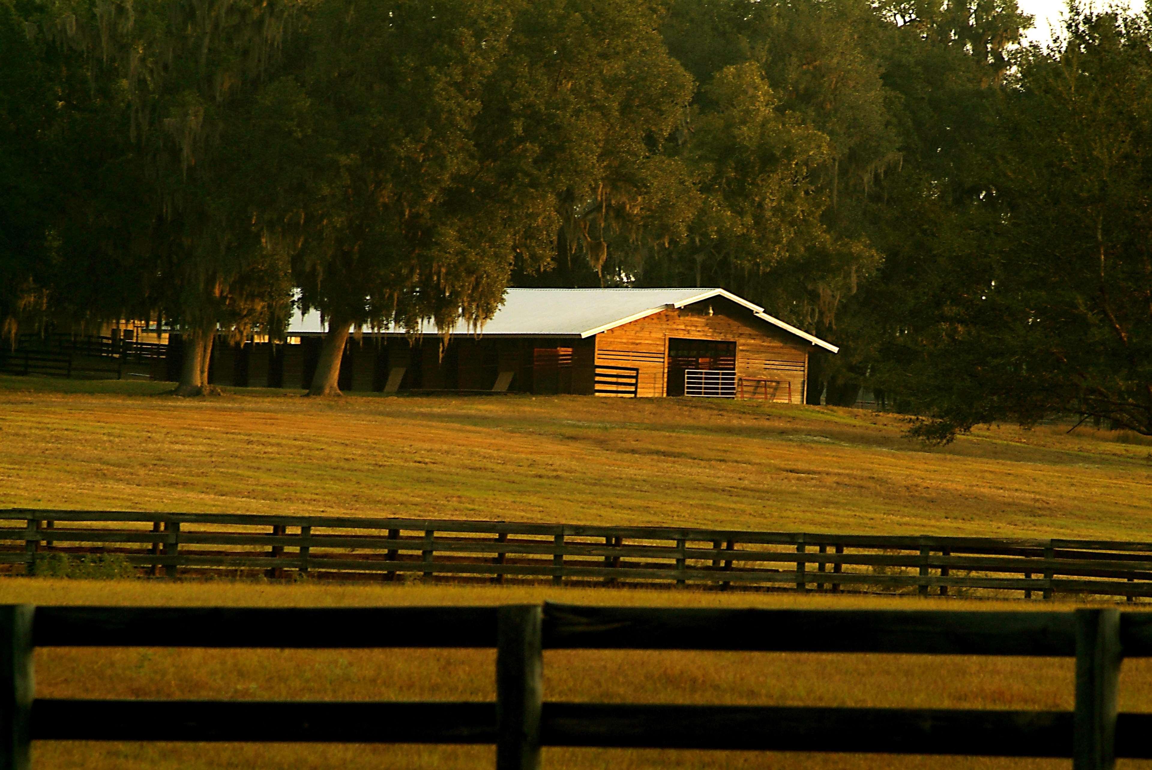 Western Park Centre 3* Ocala